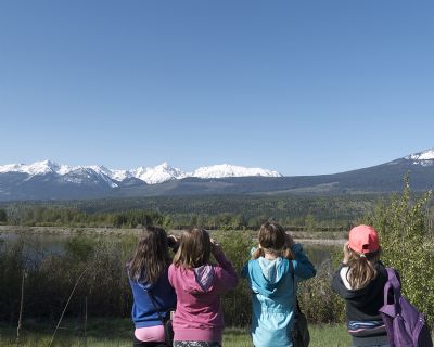 Columbia Valley Wetlands