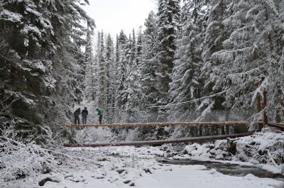 Mountain Bike Suspension Bridge, Valemount